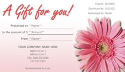 Beauty Vouchers Templates