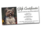 Gift Certificate Template